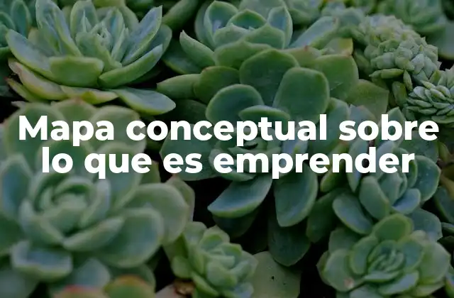 La importancia de visualizar el emprendimiento
