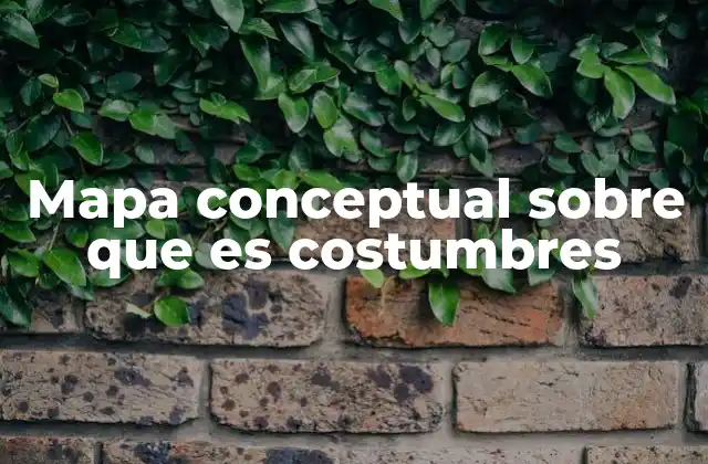 Mapa Conceptual sobre que es Costumbres