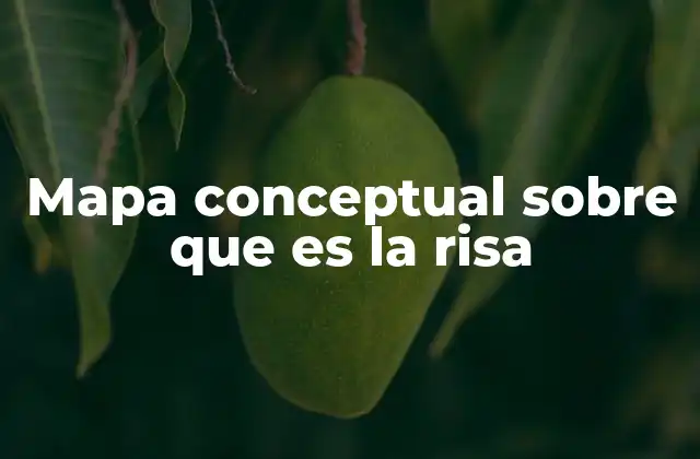 Mapa Conceptual sobre que es la Risa