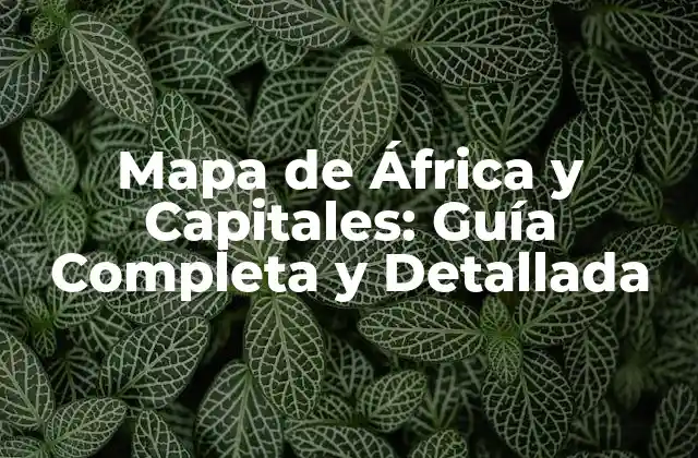 Mapa de África y Capitales: Guía Completa y Detallada