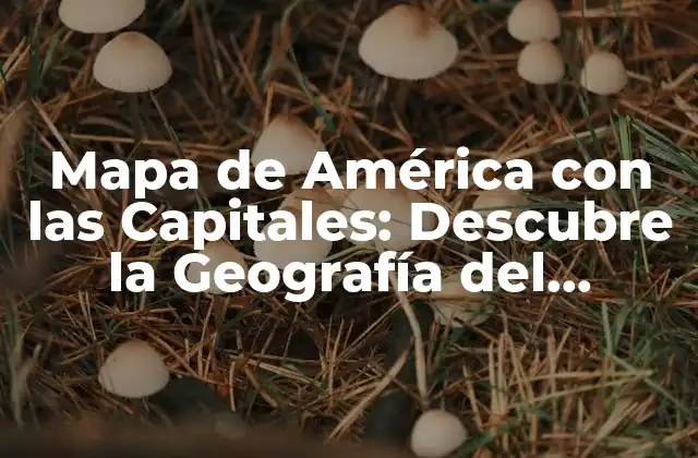 Mapa de América con las Capitales: Descubre la Geografía Del Continente