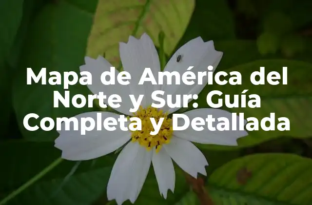 Mapa de América Del Norte y Sur: Guía Completa y Detallada