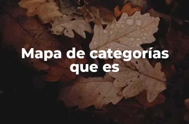 Mapa de Categorías que es