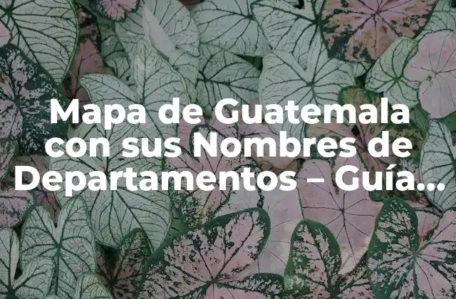 Mapa de Guatemala con Sus Nombres de Departamentos – Guía Completa