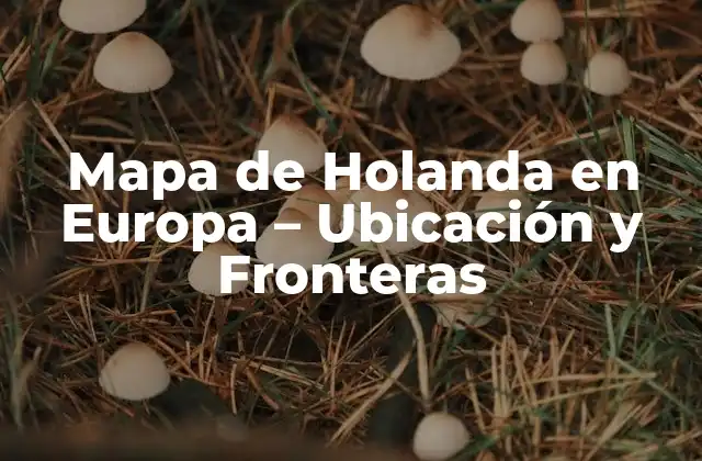 Mapa de Holanda en Europa – Ubicación y Fronteras