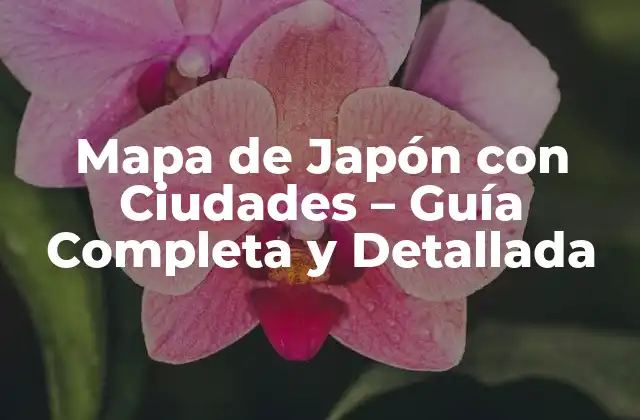 Mapa de Japón con Ciudades - Guía Completa y Detallada 2 ¿Cuáles son las Ciudades más Importantes de Japón?