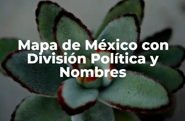 Mapa de México con División Política y Nombres