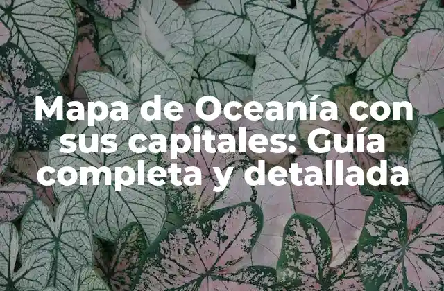 Mapa de Oceanía con Sus Capitales: Guía Completa y Detallada