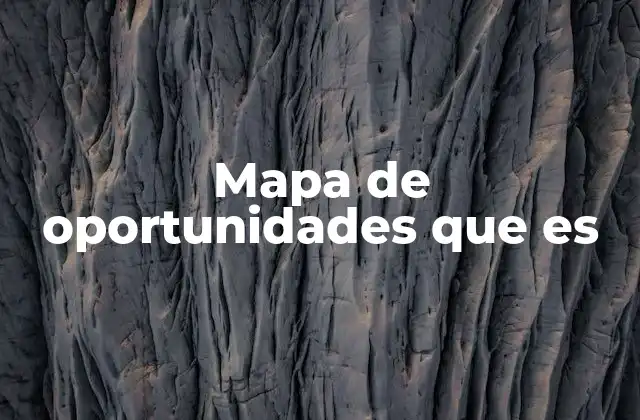 Mapa de Oportunidades que es