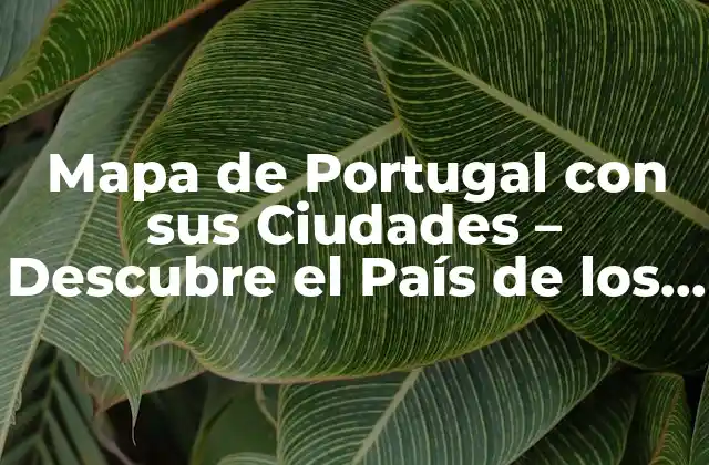 Mapa de Portugal con Sus Ciudades – Descubre el País de los Descubridores