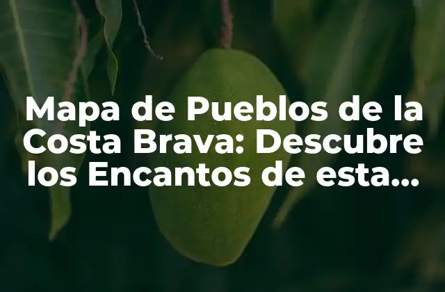 Mapa de Pueblos de la Costa Brava: Descubre los Encantos de Esta Región Española 2 ¿Qué es la Costa Brava y Cuál es su Historia?