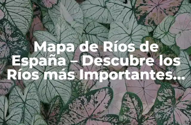 Mapa de Ríos de España – Descubre los Ríos Más Importantes Del País