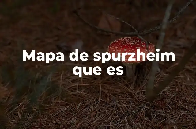 Mapa de Spurzheim que es