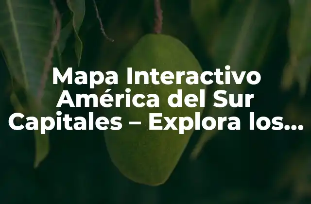Mapa Interactivo América Del Sur Capitales – Explora los Países y Ciudades