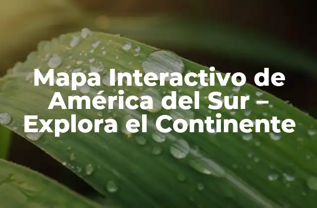 ¿Qué es un Mapa Interactivo de América del Sur?