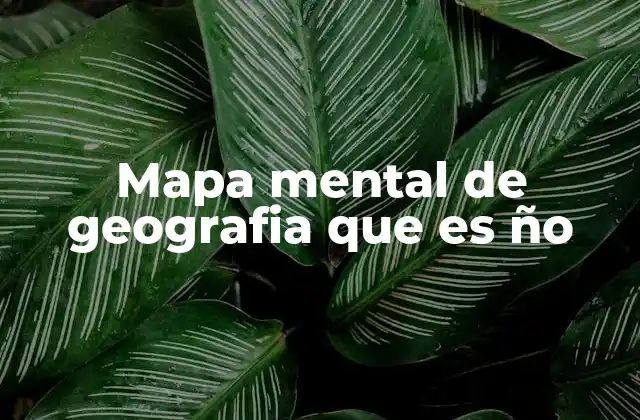 Mapa Mental de Geografia que es Ño 2 La importancia de la organización visual en el aprendizaje geográfico