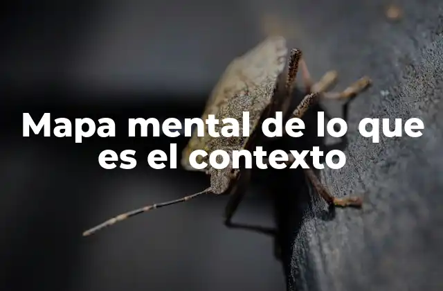 Cómo se estructura un mapa mental del contexto