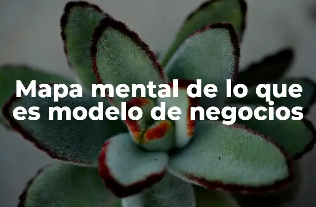 Mapa Mental de Lo que es Modelo de Negocios 2 La importancia de visualizar el modelo de negocios