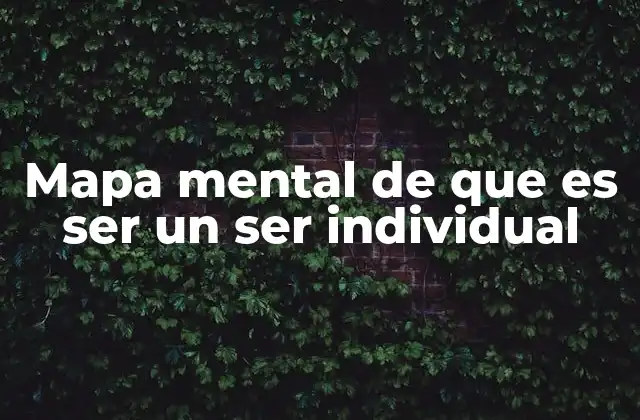 Mapa Mental de que es Ser un Ser Individual