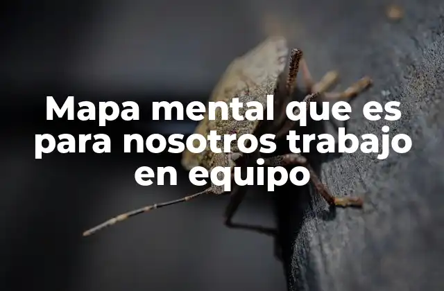 Mapa Mental que es para Nosotros Trabajo en Equipo