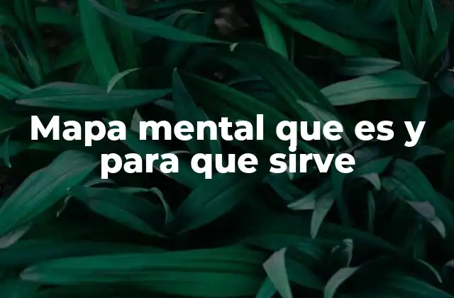 Mapa Mental que es y para que Sirve