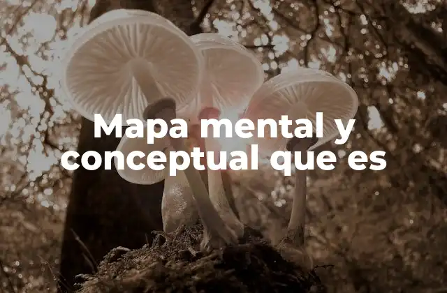 Mapa Mental y Conceptual que es