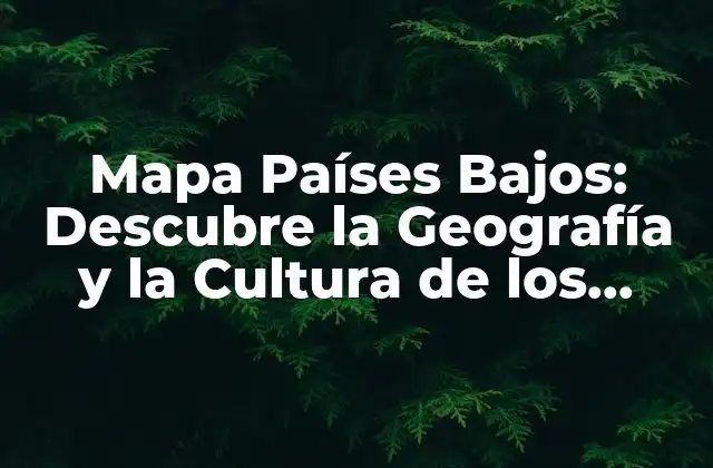 Mapa Países Bajos: Descubre la Geografía y la Cultura de los Países Bajos