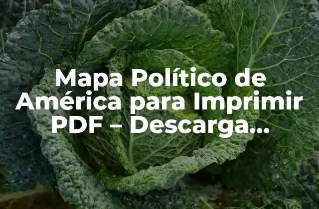 Mapa Político de América para Imprimir Pdf – Descarga Gratuita