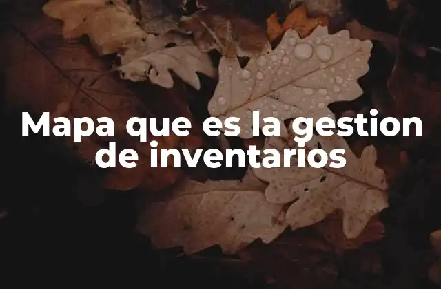Mapa que es la Gestion de Inventarios