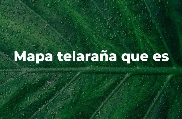 Mapa Telaraña que es