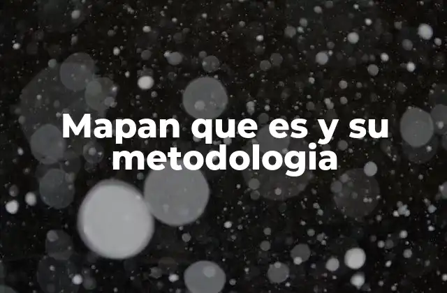 Mapan que es y Su Metodologia