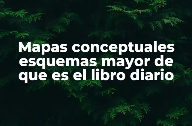 Mapas Conceptuales Esquemas Mayor de que es el Libro Diario