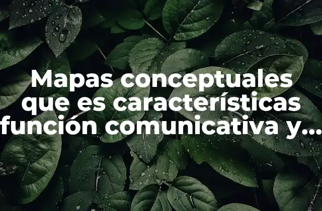 Mapas Conceptuales que es Características Función Comunicativa y Estructura