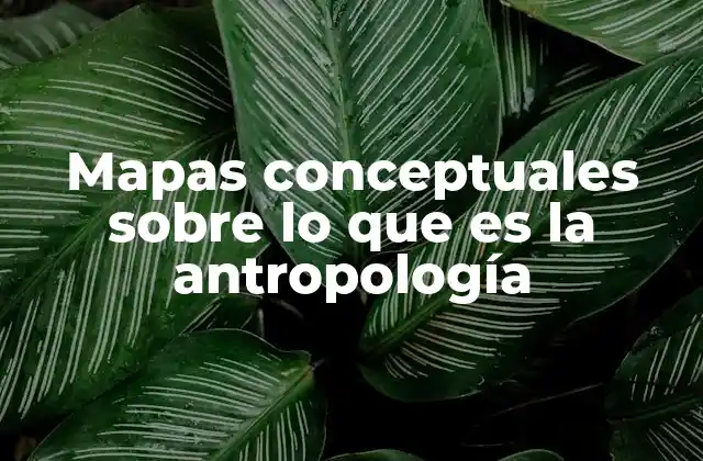 Mapas Conceptuales sobre Lo que es la Antropología