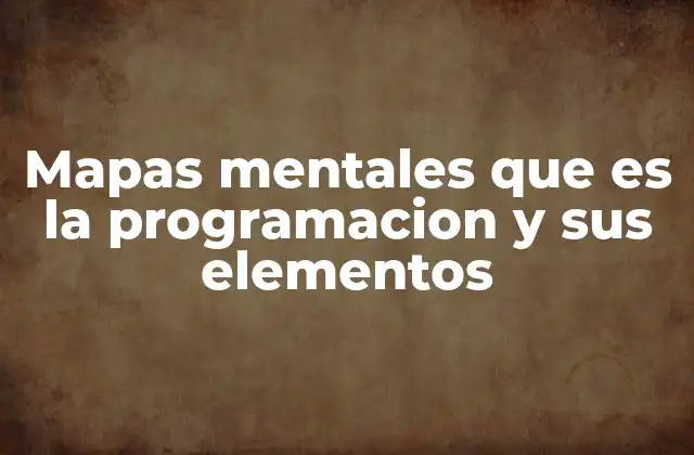 Mapas Mentales que es la Programacion y Sus Elementos