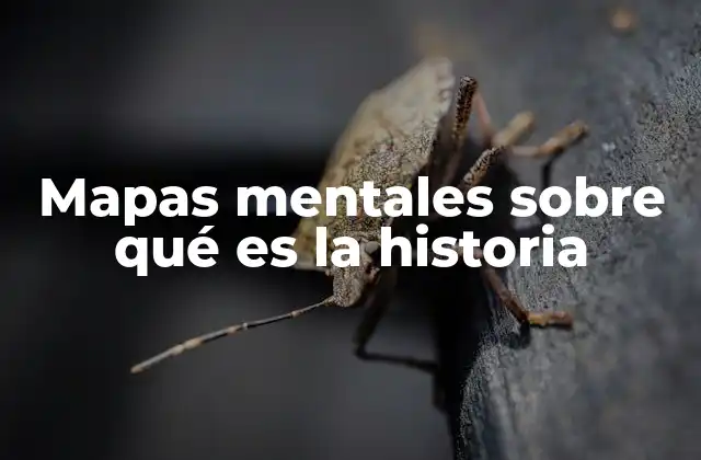 Comprendiendo la historia a través de representaciones visuales