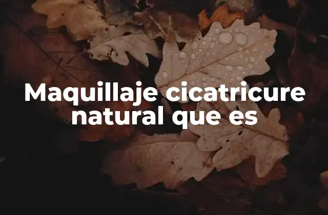 Maquillaje Cicatricure Natural que es