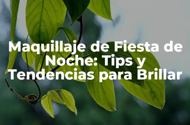 Maquillaje de Fiesta de Noche: Tips y Tendencias para Brillar