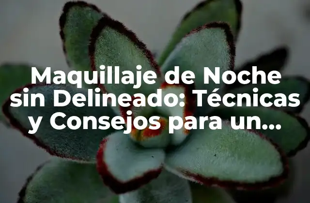 Maquillaje de Noche sin Delineado: Técnicas y Consejos para un Look Impactante
