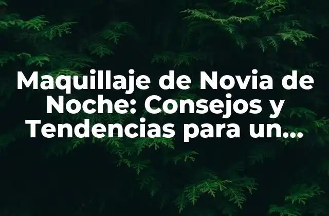 Maquillaje de Novia de Noche: Consejos y Tendencias para un Look Impresionante