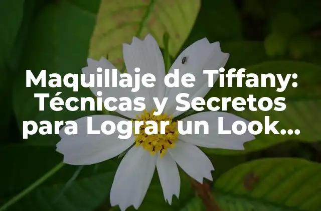 Maquillaje de Tiffany: Técnicas y Secretos para Lograr un Look Divino