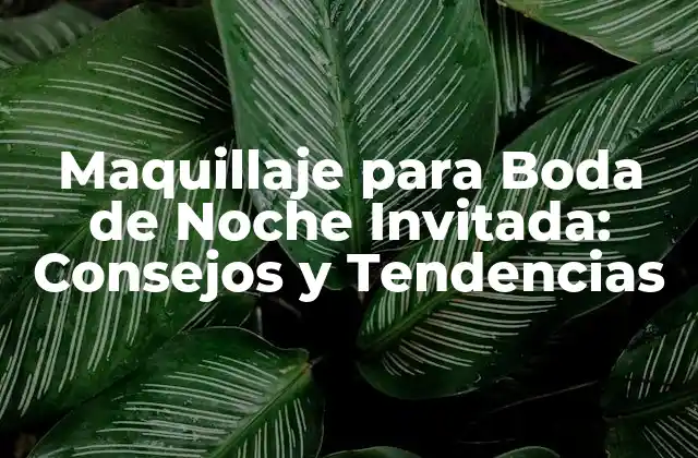 Maquillaje para Boda de Noche Invitada: Consejos y Tendencias 2 Cómo Elegir el Maquillaje para una Boda de Noche