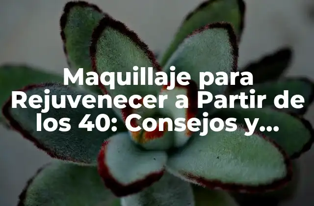 Maquillaje para Rejuvenecer a Partir de los 40: Consejos y Técnicas para una Apariencia Más Joven
