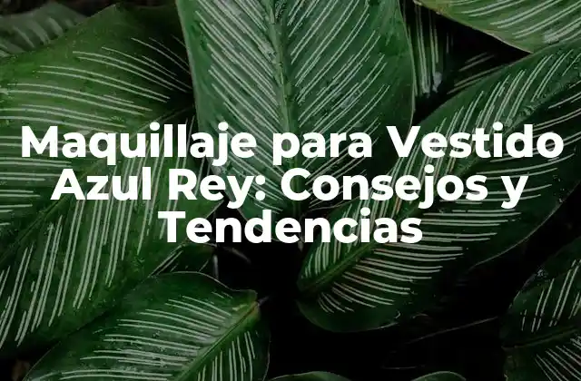 Maquillaje para Vestido Azul Rey: Consejos y Tendencias