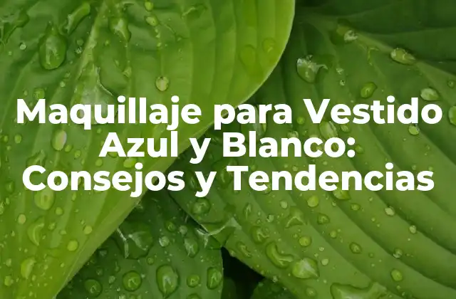 Maquillaje para Vestido Azul y Blanco: Consejos y Tendencias