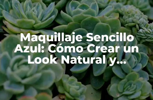 Maquillaje Sencillo Azul: Cómo Crear un Look Natural y Elegante con Tonos Azules