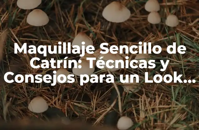 Maquillaje Sencillo de Catrín: Técnicas y Consejos para un Look Natural