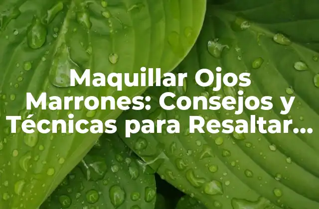 Maquillar Ojos Marrones: Consejos y Técnicas para Resaltar Tu Belleza 2 ¿Cuáles son los Mejores Colores de Sombras para Ojos Marrones?