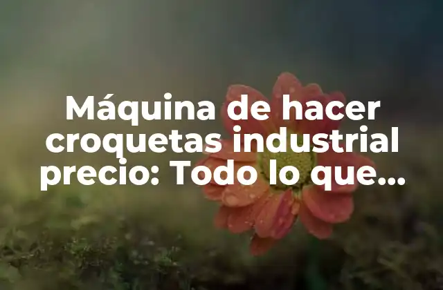 Máquina de Hacer Croquetas Industrial Precio: Todo Lo que Necesitas Saber