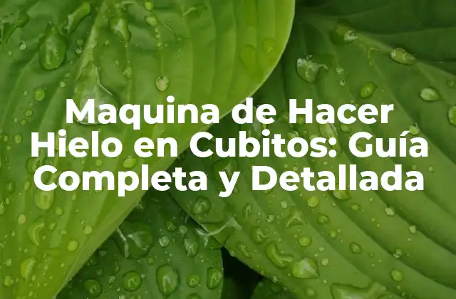 Maquina de Hacer Hielo en Cubitos: Guía Completa y Detallada